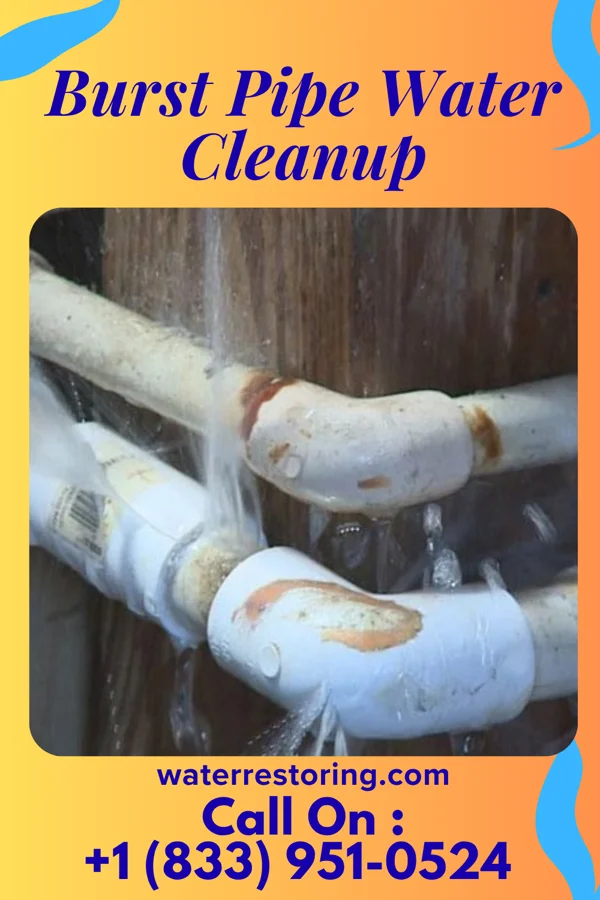 Burst Pipe Water Cleanup in Springfield, TN