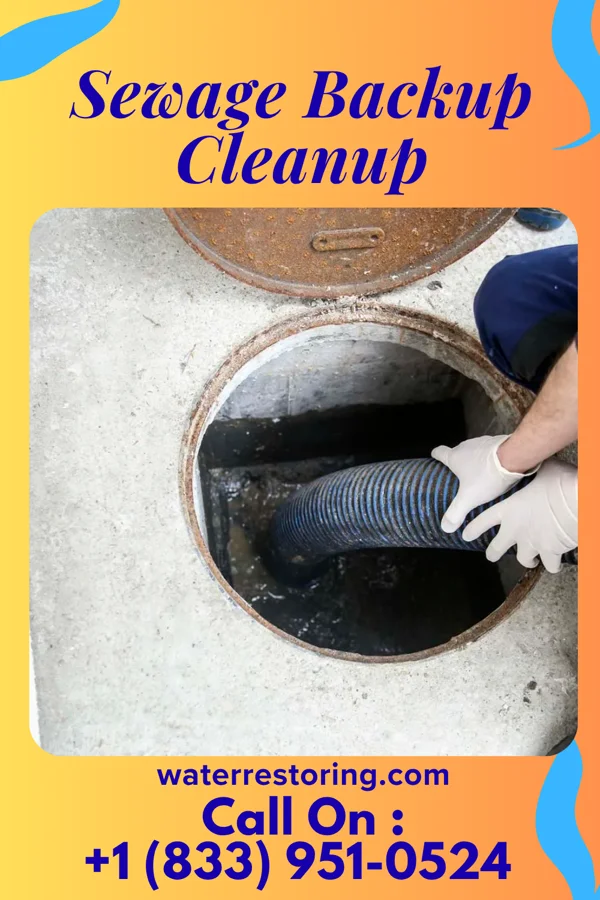 Sewage Backup Cleanup in Springfield, TN